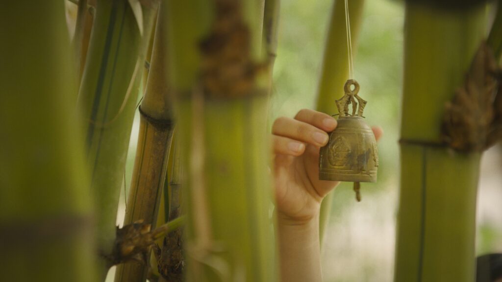First Generation – graded still