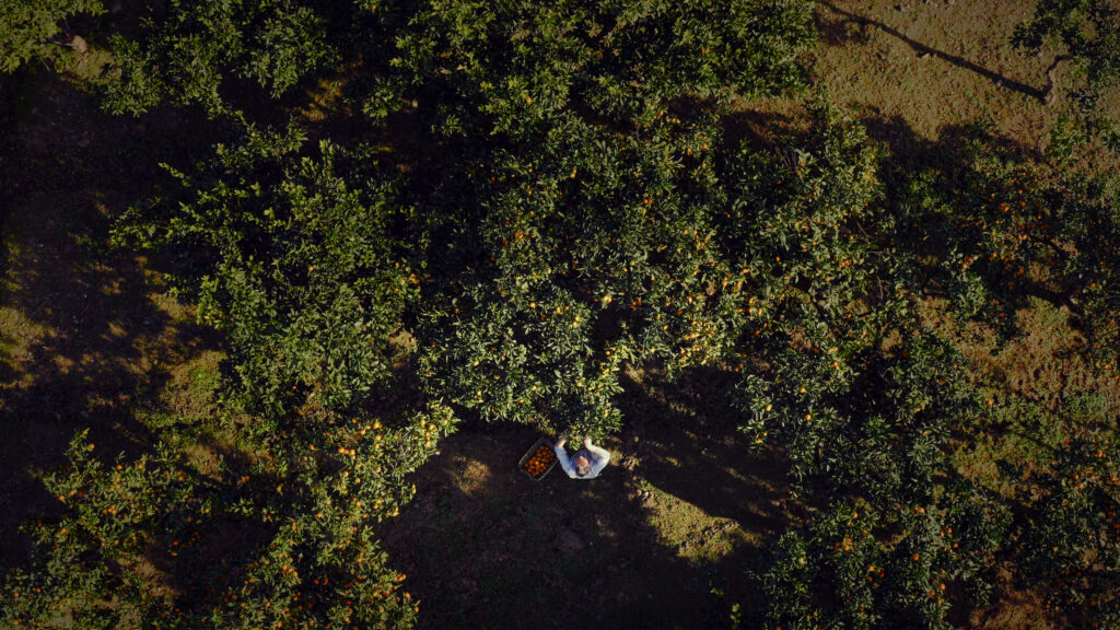 From Georgia With Love – Color Grading – graded still