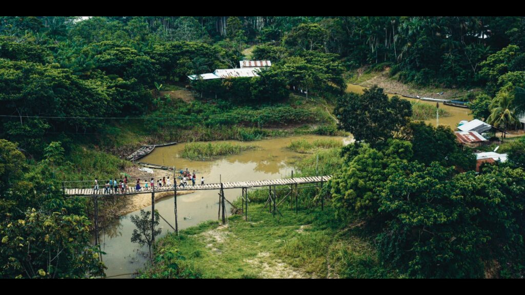 Amazon Madness – Color Grading – graded still